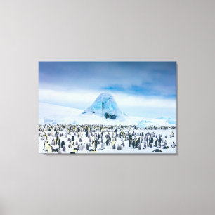Cutest Baby djur Emperor Penguin Colony Canvastryck