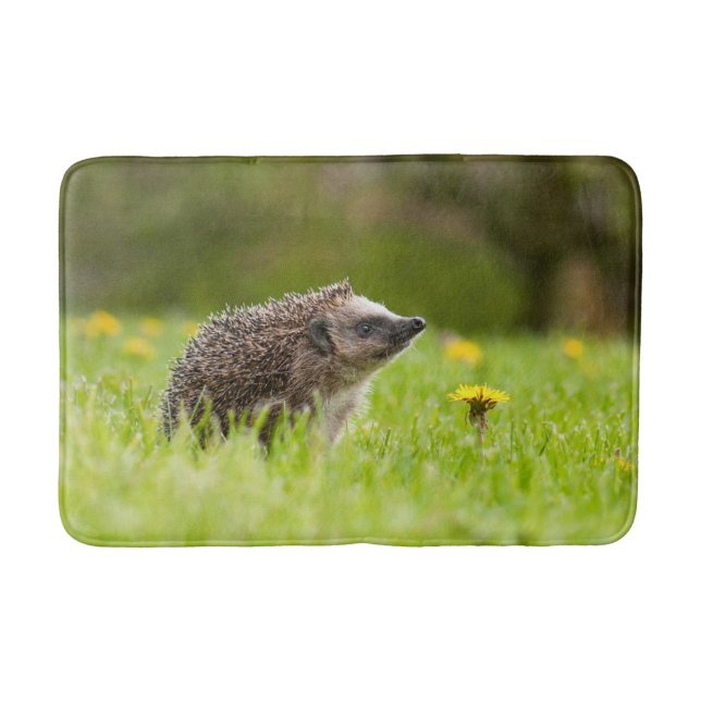 Cutest Baby djur | European Hedgehog Badrumsmatta (Framsidan)