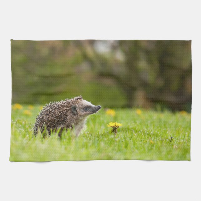 Cutest Baby djur | European Hedgehog Kökshandduk (Horisontell)