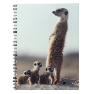 Cutest Baby djur Familj av medlemmar Anteckningsbok