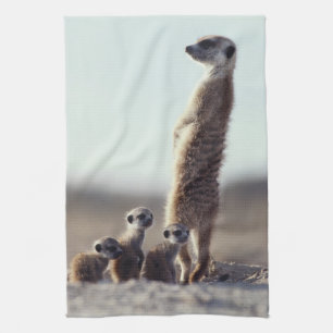 Cutest Baby djur Familj av medlemmar Kökshandduk