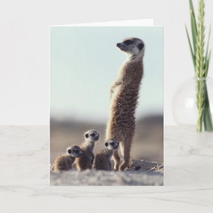 Cutest Baby djur Familj av medlemmar Kort