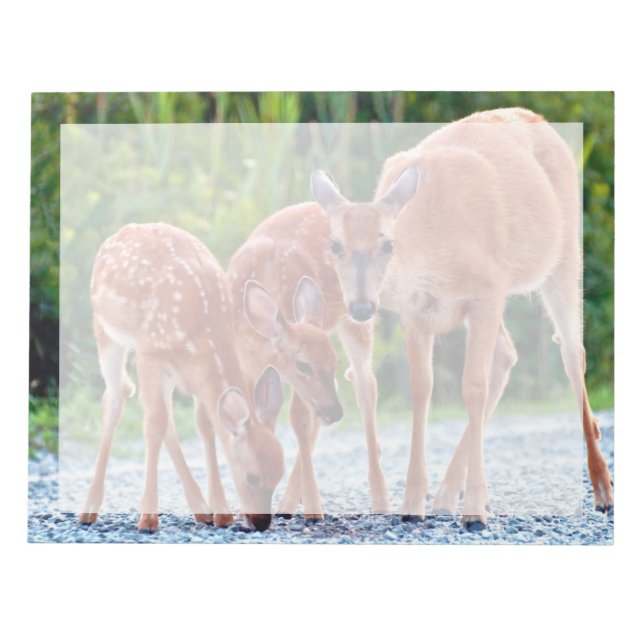 Cutest Baby djur | Fawn with Spädbarn Anteckningsblock (Framsida)