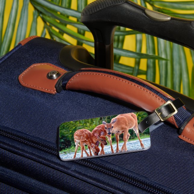 Cutest Baby djur | Fawn with Spädbarn Bagagebricka (Framsida Insitu 3)