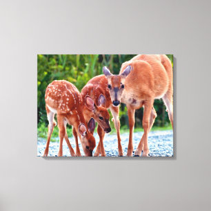 Cutest Baby djur Fawn with Spädbarn Canvastryck