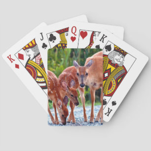 Cutest Baby djur   Fawn with Spädbarn Casinokort