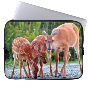 Cutest Baby djur   Fawn with Spädbarn Laptop Fodral