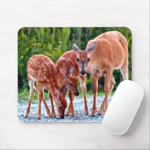 Cutest Baby djur   Fawn with Spädbarn Musmatta