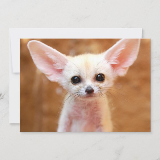 Cutest Baby djur | Fennec Fox Tack Kort (Framsida)