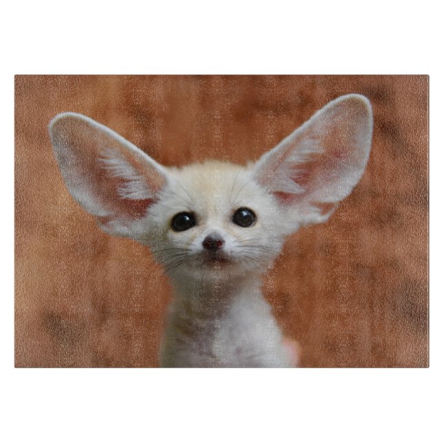 Cutest Baby djur | Fennec Fox-Valp (Framsidan)
