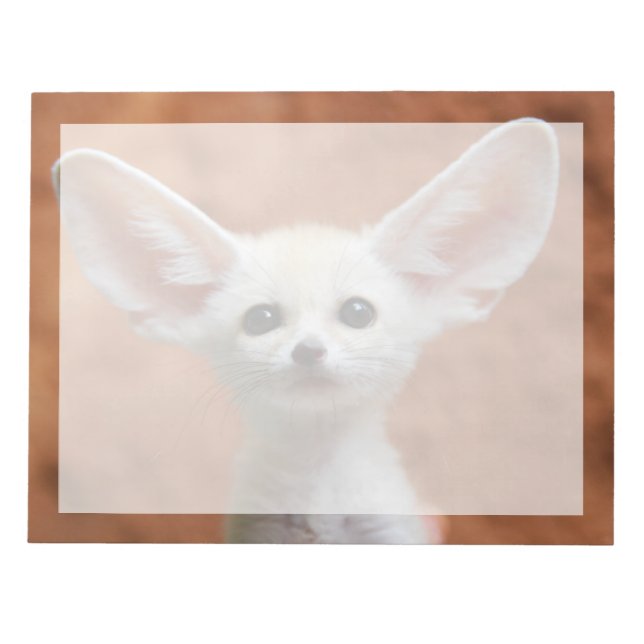 Cutest Baby djur | Fennec Fox-Valp Anteckningsblock (Framsida)
