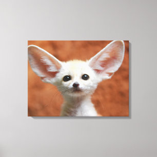 Cutest Baby djur   Fennec Fox-Valp Canvastryck