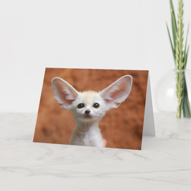 Cutest Baby djur | Fennec Fox-Valp Kort (Framsida)