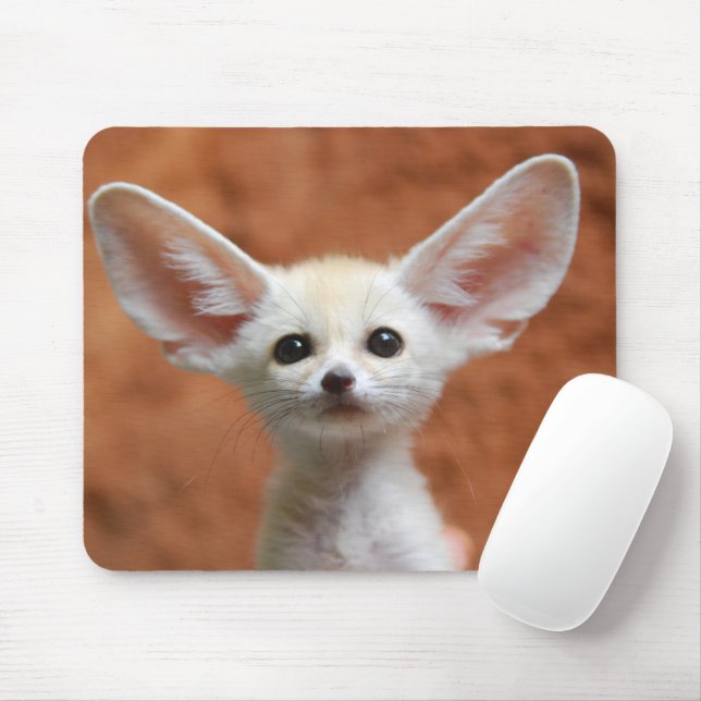 Cutest Baby djur | Fennec Fox-Valp Musmatta (Med mus)