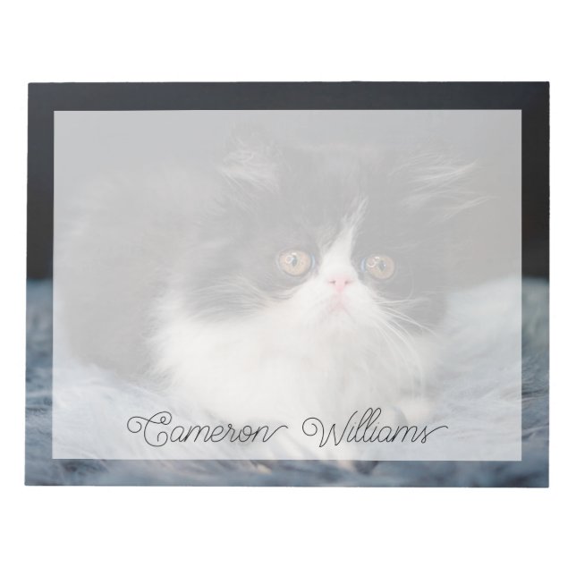 Cutest Baby djur | Fluffy B&W Kitten Anteckningsblock (Framsida)