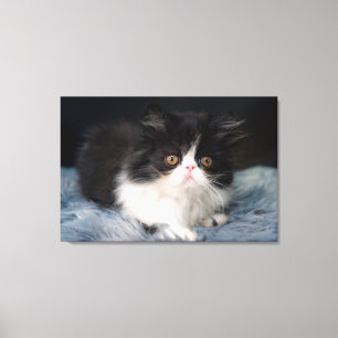 Cutest Baby djur Fluffy B&W Kitten Canvastryck