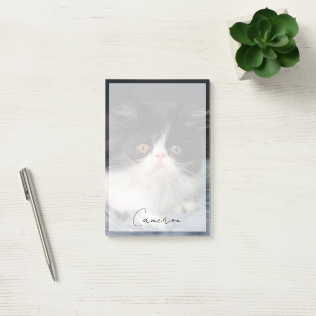 Cutest Baby djur | Fluffy B&W Kitten Post-it Block (Kontor)