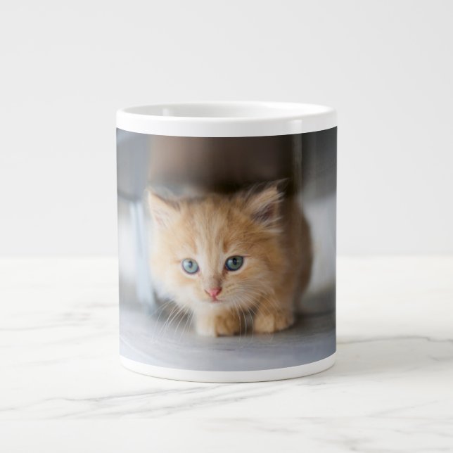 Cutest Baby djur | Fluffy Orange Kitten Jumbo Mugg (Framsidan)