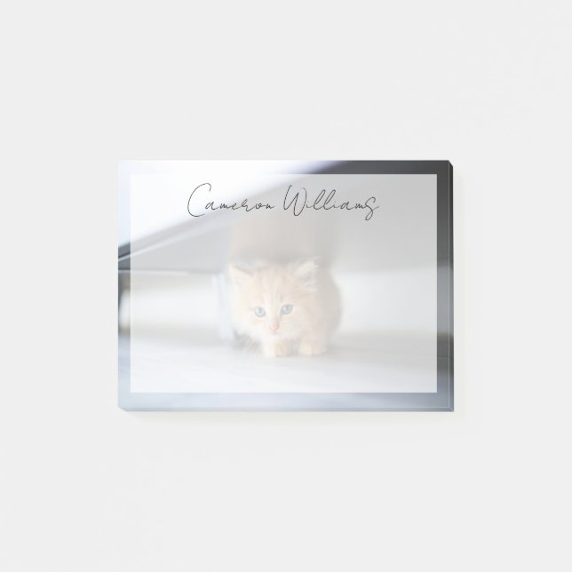 Cutest Baby djur | Fluffy Orange Kitten Post-it Block (Framsida)