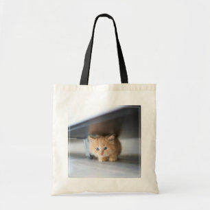 Cutest Baby djur Fluffy Orange Kitten Tygkasse