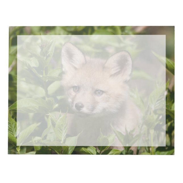 Cutest Baby djur | Fox Kit Anteckningsblock (Framsida)