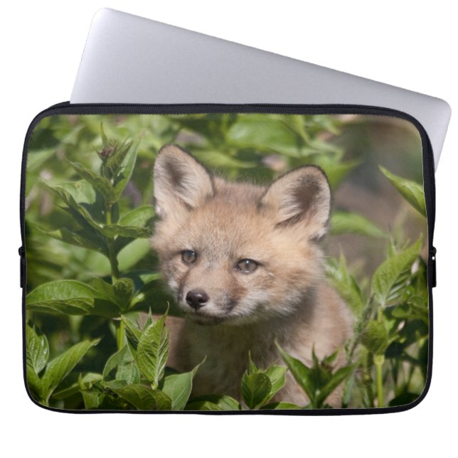 Cutest Baby djur | Fox Kit Laptop Fodral (Framsidan)