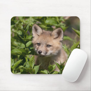 Cutest Baby djur Fox Kit Musmatta
