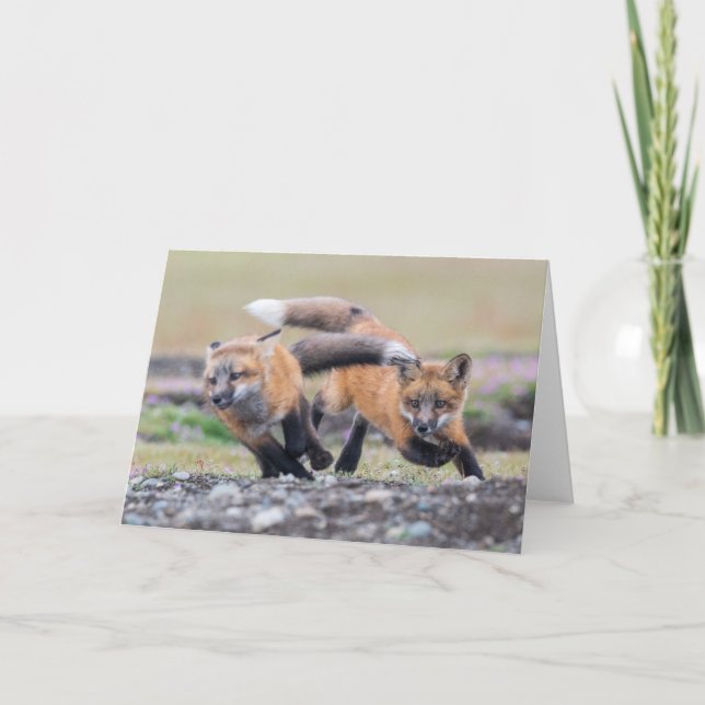 Cutest Baby djur | Fox-Valper vid uppspelning Kort (Framsida)