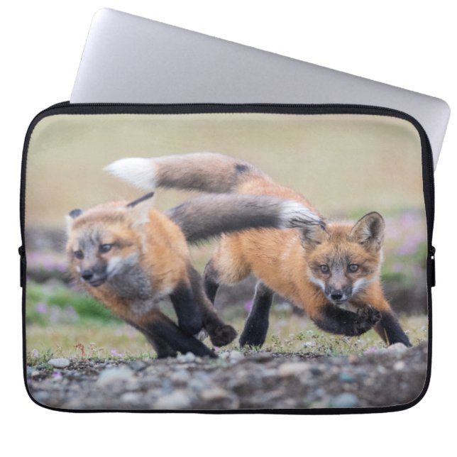 Cutest Baby djur | Fox-Valper vid uppspelning Laptop Fodral (Framsidan)