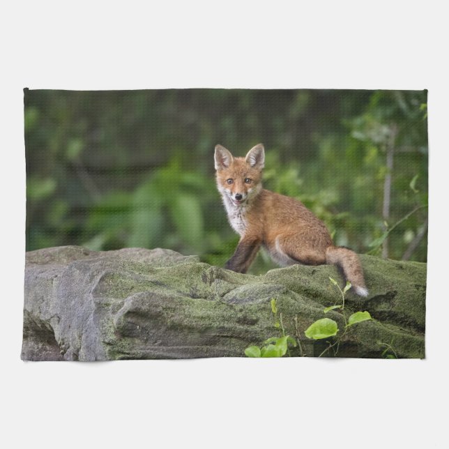 Cutest Baby djur | Foxy Smile Kökshandduk (Horisontell)