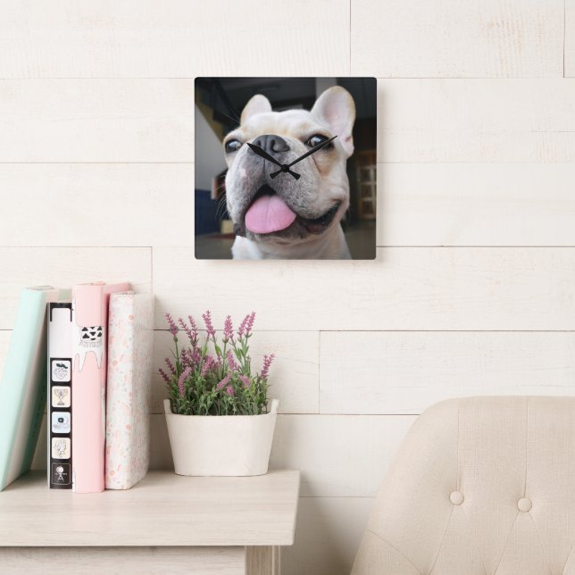 Cutest Baby djur | Fransk Bulldog Ansikte Fyrkantig Klocka (Läsesal)