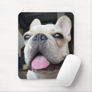 Cutest Baby djur Fransk Bulldog Ansikte Musmatta