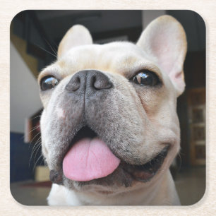 Cutest Baby djur Fransk Bulldog Ansikte Underlägg Papper Kvadrat