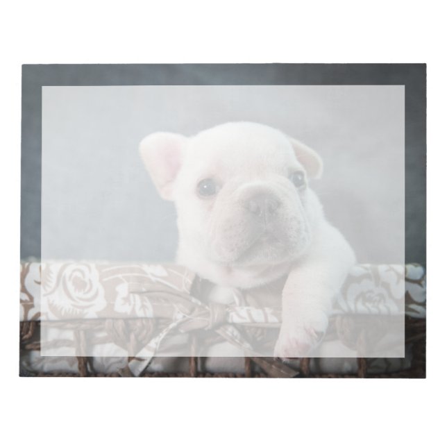 Cutest Baby djur | Fransk Bulldog Anteckningsblock (Framsida)