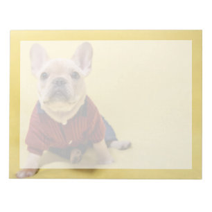 Cutest Baby djur Fransk Bulldog dold Anteckningsblock