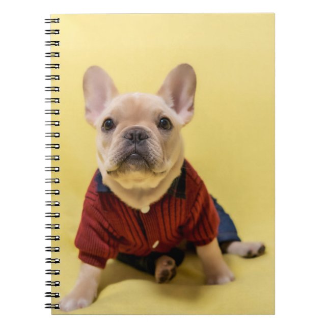 Cutest Baby djur | Fransk Bulldog dold Anteckningsbok (Framsidan)
