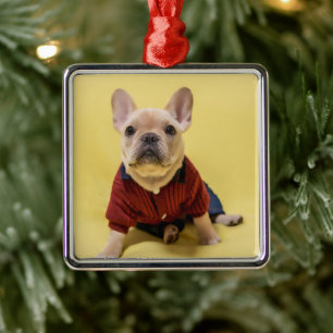 Cutest Baby djur Fransk Bulldog dold Julgransprydnad Metall