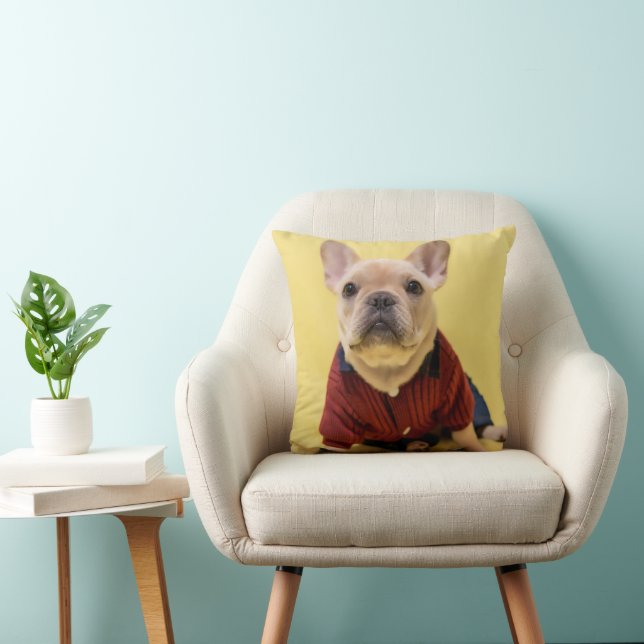 Cutest Baby djur | Fransk Bulldog dold Kudde (Stol)