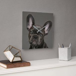 Cutest Baby djur Fransk Bulldog Fyrkantig Klocka