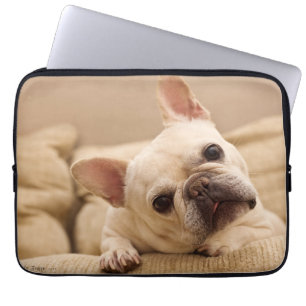 Cutest Baby djur   Fransk Bulldog Head Tilt Laptop Fodral