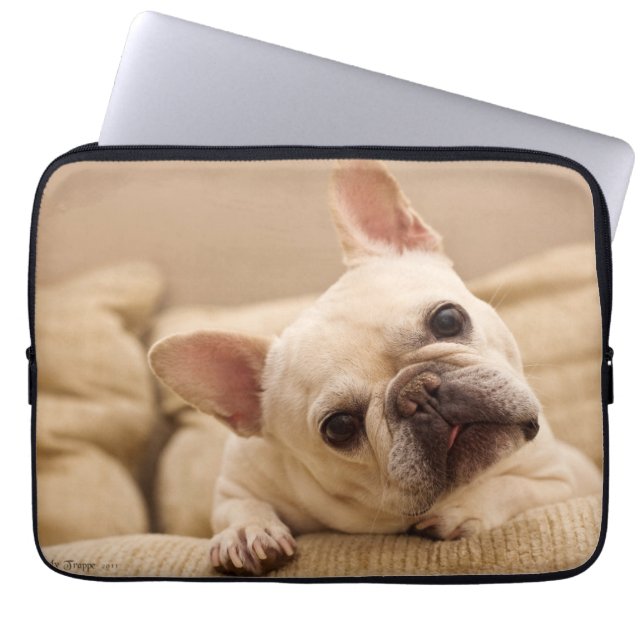 Cutest Baby djur | Fransk Bulldog Head Tilt Laptop Fodral (Framsidan)