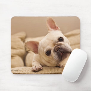 Cutest Baby djur Fransk Bulldog Head Tilt Musmatta