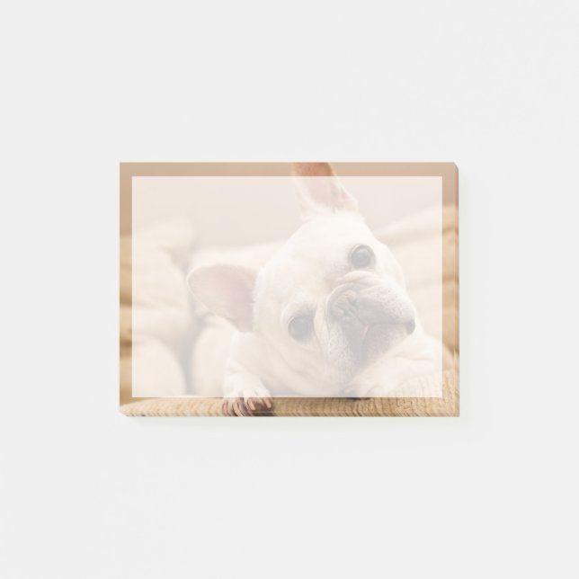 Cutest Baby djur | Fransk Bulldog Head Tilt Post-it Block (Framsida)