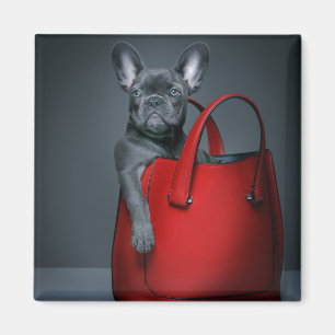 Cutest Baby djur Fransk Bulldog i Handbag Magnet