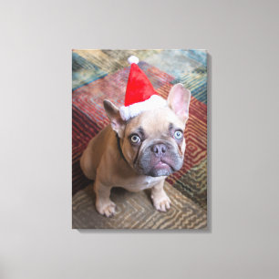 Cutest Baby djur Fransk Bulldog-jul Canvastryck