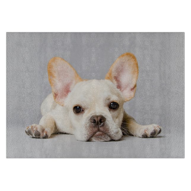 Cutest Baby djur | Fransk Bulldog Ljuger nedåt (Framsidan)