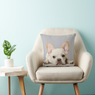 Cutest Baby djur Fransk Bulldog Ljuger nedåt Kudde