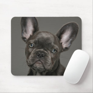 Cutest Baby djur Fransk Bulldog Musmatta