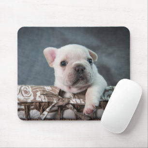 Cutest Baby djur Fransk Bulldog Musmatta