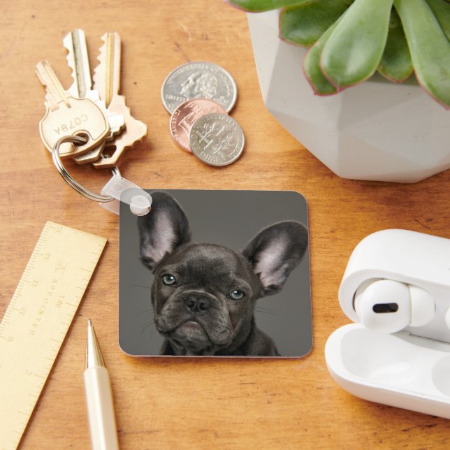Cutest Baby djur | Fransk Bulldog Nyckelring (Skrivbord)
